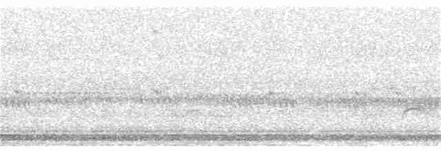 Дрізд-короткодзьоб Cвенсона - ML183277111
