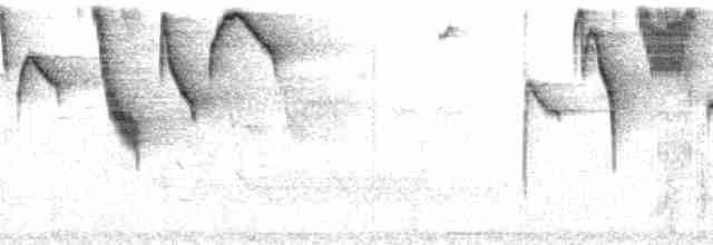 Ak Kaşlı Çalı Serçesi - ML183282