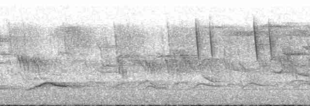 Краснохвостая нектарница - ML183339