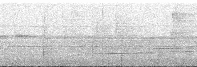 Gray-headed Babbler - ML183386