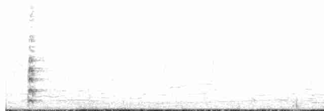 Common Gallinule (Altiplano) - ML183407381