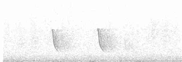 gulbrystflueskvett - ML183513311