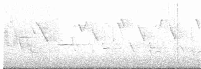 Эфиопская нектарница - ML183588601