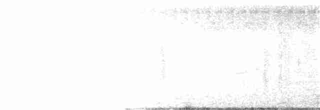 白胸燕鵙 - ML183594511