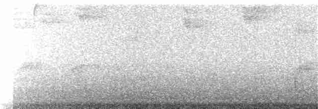 Kestane Karınlı Bülbül Tiranı - ML183604581