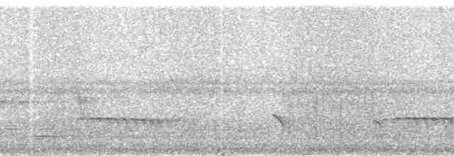 Ak Kaşlı Karıncakuşu - ML18364