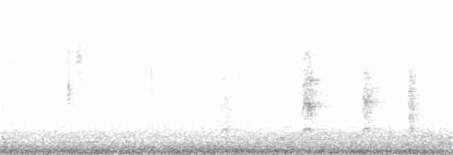 Белозобый дрозд (torquatus) - ML183651691