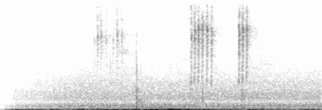 Speckled Hummingbird - ML183657911
