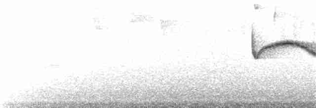 Kestane Karınlı Bülbül Tiranı - ML183764231