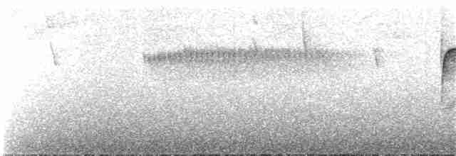 Kestane Karınlı Bülbül Tiranı - ML183764251