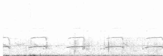 Cichladuse tachetée - ML183828981
