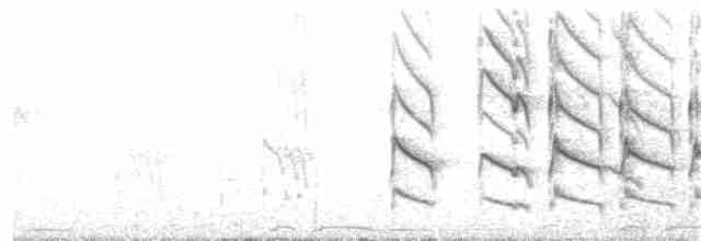 Сероголовый ткачик-воробей - ML183833721