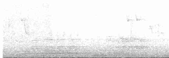 Африканская райская мухоловка - ML183921911