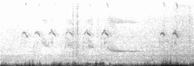 Крячок рябодзьобий - ML183995581