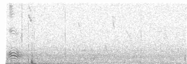 Carraca Coroniparda - ML184053541