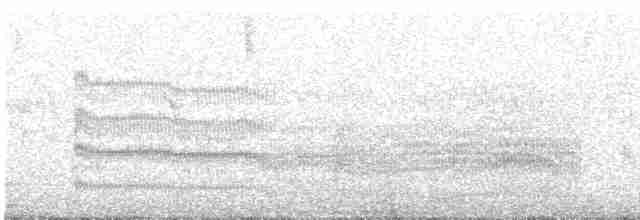 Sumru (longipennis) - ML184098371