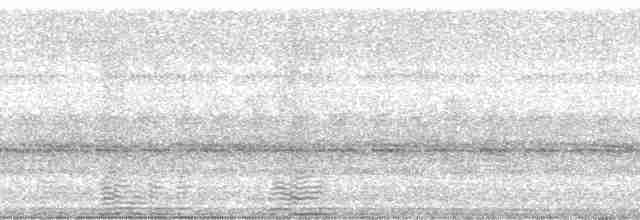 Бронзовый колибри-отшельник - ML184155