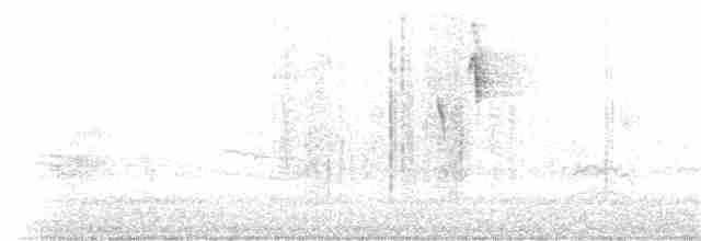 Palmenwaldsänger (palmarum) - ML184170331