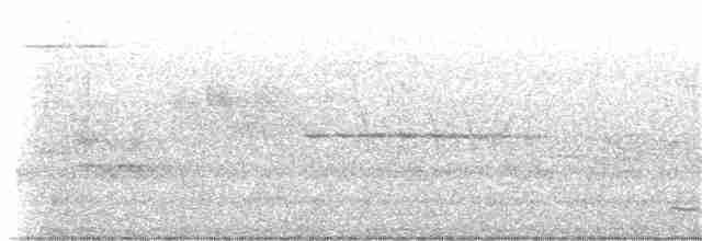 Oriole des vergers - ML184205601