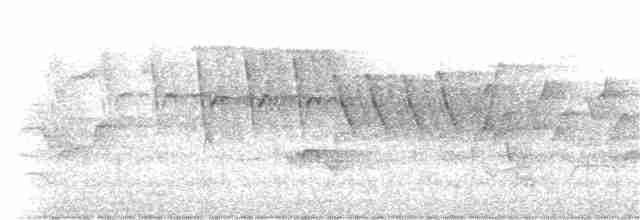 Oriole des vergers - ML184205671