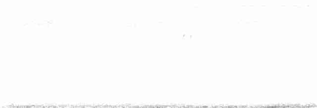 Синехвостая щурка - ML184244771
