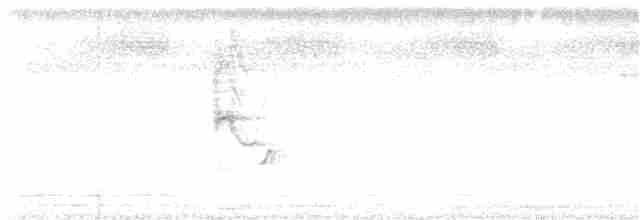 Длинноклювая нектарница - ML184245041
