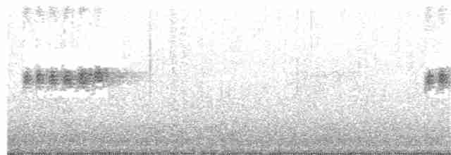 Пронурок сірий - ML184282901