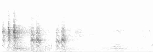 Chilespottdrossel - ML184299021
