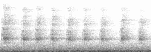 Ошейниковый зимородок - ML184446301