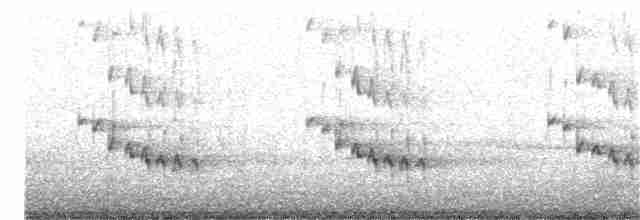 Ошейниковый зимородок - ML184448291