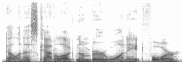 Turuncu Gagalı Bülbül Ardıcı [melpomene grubu] - ML184524