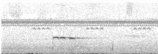 Russet-crowned Crake - ML184551281