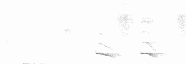 Halkalı Trogon - ML184561201