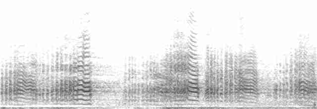 Ara hyacinthe - ML184572781