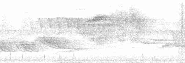 kukačka veverčí (ssp. thermophila) - ML184580