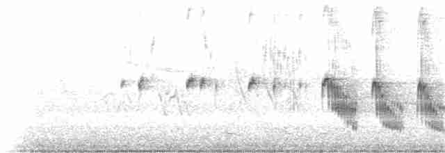 vlhovec červenokřídlý [skupina phoeniceus] - ML184580891