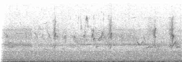 Деревенская ласточка (erythrogaster) - ML184581691