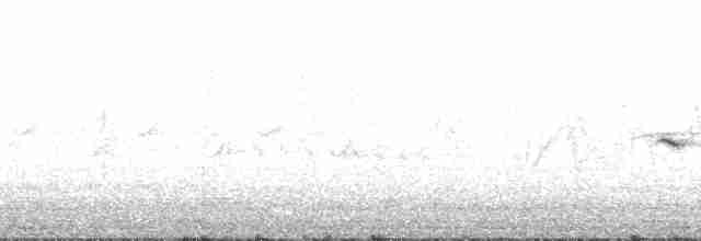 Трав’янка сіра - ML184641