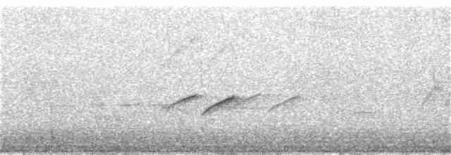langhalemønjefugl - ML184703571