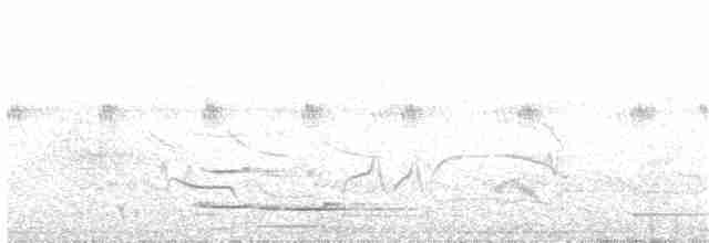Quebracho Crested-Tinamou - ML184715641