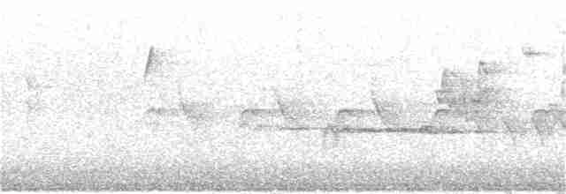 Rufous-gorgeted Flycatcher - ML184719521