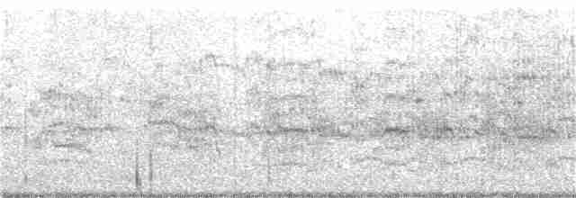 Common Tern - ML184732161