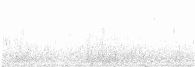 Kahverengi Başlı Martı - ML184756031