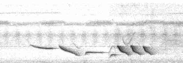 Black-throated Wren - ML184759