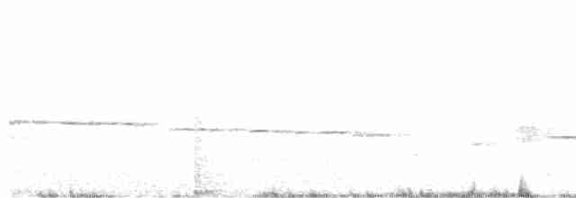 Ріроріро сірий - ML184782411
