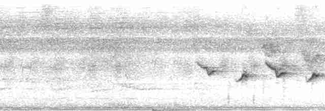 Оливковоголовая желтогрудка (bairdi) - ML184799