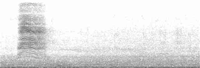 Gray Catbird - ML184805121