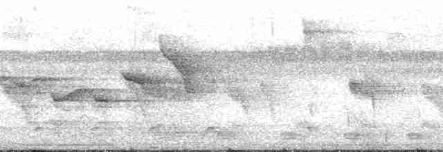 Fan-tailed Warbler - ML184816