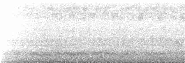 Cuervo Pescador - ML184816011