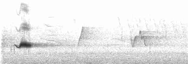 Дрізд-короткодзьоб бурий - ML184816031